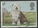 1979-02-07 SG1075 Old English Sheepdog F/U (22831)