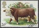 1984-03-06 SG1242 Hereford bull F/U (22997)