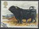 1984-03-06 SG1243 Welsh black bull F/U (22998)