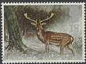 1992-01-14 SG1587 Fallow Deer F/U (23310)