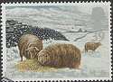1992-01-14 SG1591 Welsh Mountain Sheep F/U (23314)