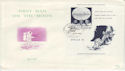 1969 Belgium First Man on the Moon M/S FDC (58762)