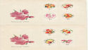 1964 Hungary Fruit Stamps unused on 2 covers (59439)