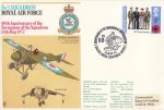 1972-05-13 RAF 3 Sqn Formation Anniv BF 1286 PS Souv (68307)