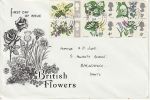 1967-04-24 Wild Flowers Basingstoke cds FDC (72790)