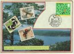 1992-09-15 Green Issue Stamps Hand Made FDC (75930)