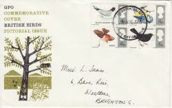1966-08-08 British Birds Stamps Brighton FDC (80685)