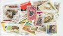 Worldwide x50 Animal Stamps in packet (J43)