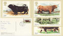 1984-03-06 British Cattle PHQ 73 Leeds FDI (phq008)