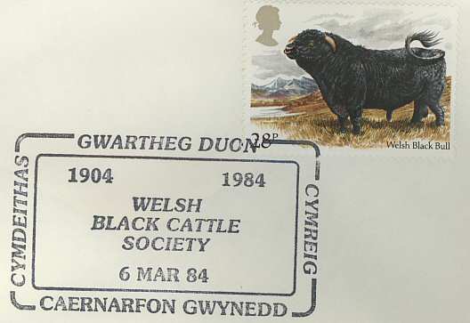 Welsh Black Cattle Soc (pm248)