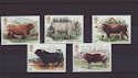 1984-03-06 British Cattle Mint Set (S1016)