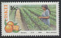 1988 Ciskei Citrus Farming Set MNH (S326)